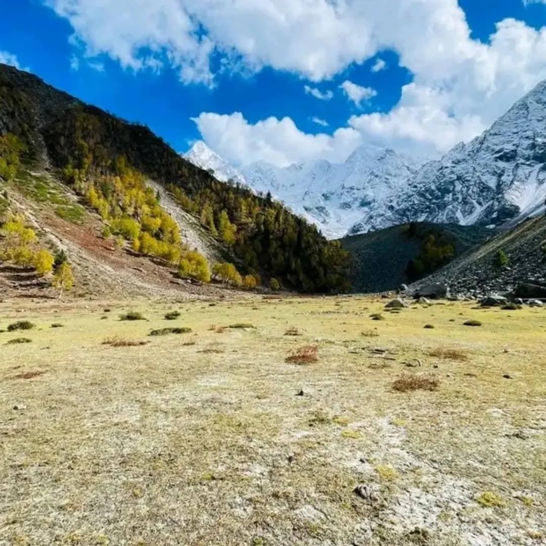 Fairy Meadows 4 Days: Peshawar → Chilas → Raikot → Fairy Meadows → back