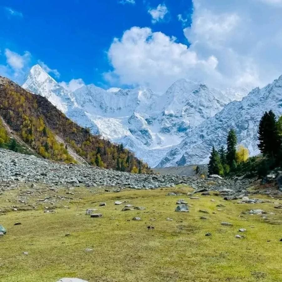 Fairy Meadows