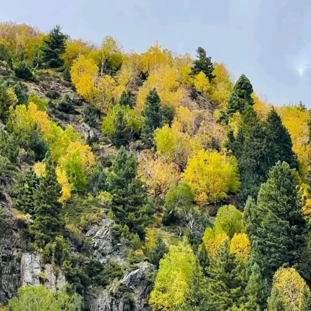 Kumrat: Pine forests, waterfalls and riverside camps.